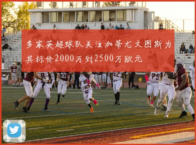 多家英超球队关注加蒂尤文图斯为其标价2000万到2500万欧元